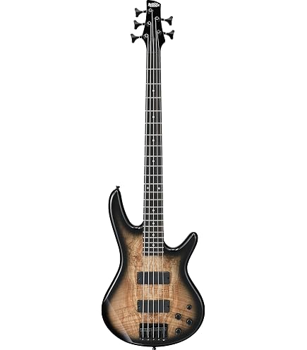 Ibanez GSR 205 Black - Basso elettrico a 5 corde : Amazon.it
